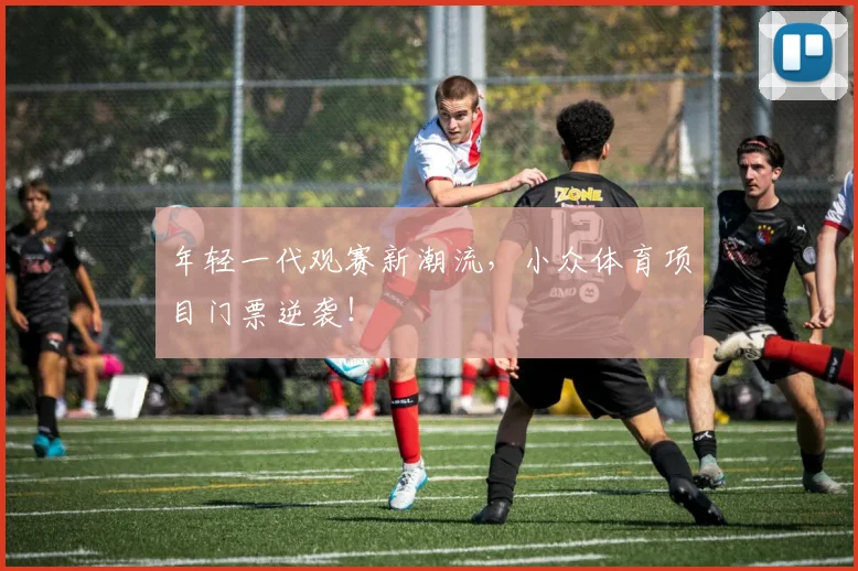 年轻一代观赛新潮流，小众体育项目门票逆袭！