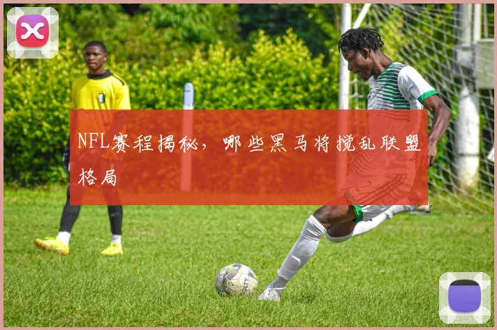 NFL赛程揭秘，哪些黑马将搅乱联盟格局