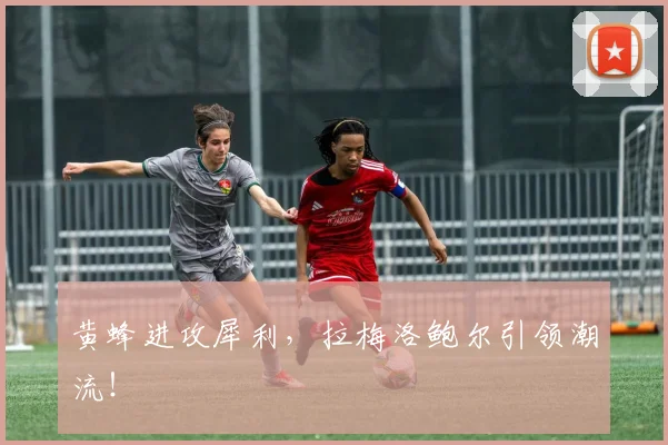 黄蜂进攻犀利，拉梅洛鲍尔引领潮流！